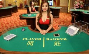 baccarat robot for evolution - online casino Singapore - gambling online asia